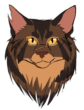 Tigerstar